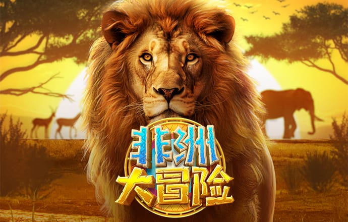 2024新奥资料免费精准109